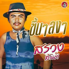 ขึ้นๆลงๆ