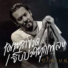 เมาทุกขวดเจ็บปวดทุกเพลง (Original)