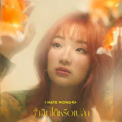 จำฉันได้หรือเปล่า (ซนซน 40 ปี GMM GRAMMY)