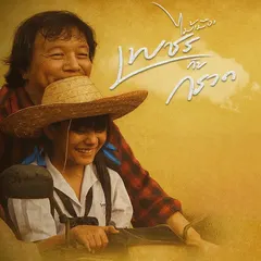 เพชรกับกรวด