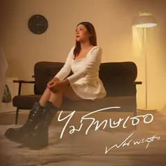 ไม่โทษเธอ