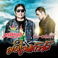 มดในแก้วน้ำ
