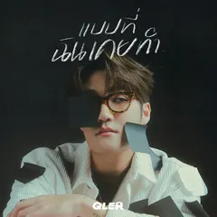แบบที่ฉันเคยทำ (Replaced)
