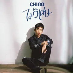 ไม่วิเศษ