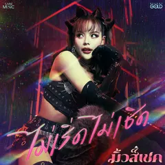 ไม่เริ่ดไม่เชิด