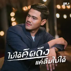 ไม่ได้คิดถึง แค่ลืมไม่ได้