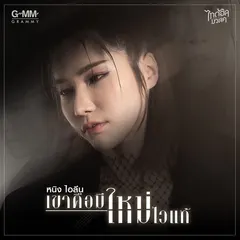 เขาคือมีใหม่ไวแท้