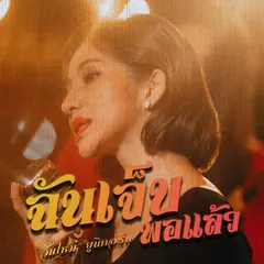 ฉันเจ็บพอแล้ว
