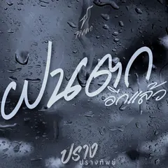 ฝนตกอีกแล้ว