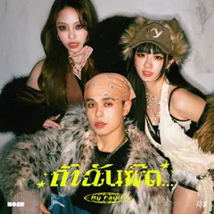 ถ้าฉันผิด... (My Fault)