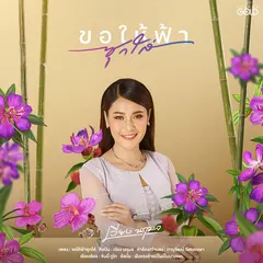 ขอให้ฟ้าซุกใส่