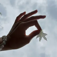 ผกา