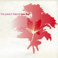 Brand New Day