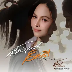 สิ้นสุดการยินดี