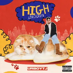 ปล่อยไหล (High)