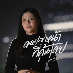 คนแปลกหน้าที่คุ้นเคย
