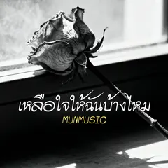 เหลือใจให้ฉันบ้างไหม