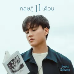 ทฤษฎี 11 เดือน