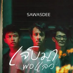 เจ็บมาพอแล้ว