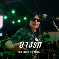 ยางรัก (Reproduced 2026)