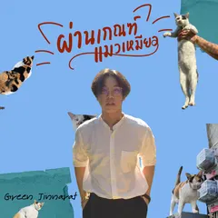 ผ่านเกณฑ์แมวเหมียว