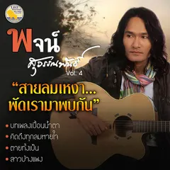 สายลมเหงาพัดเรามาพบกัน
