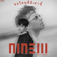 ขอโทษที่มีเท่านี้